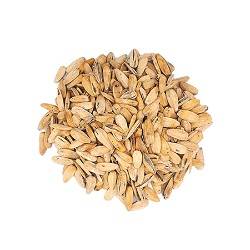 تخمه آفتابگردان رژیمی مینابی فله